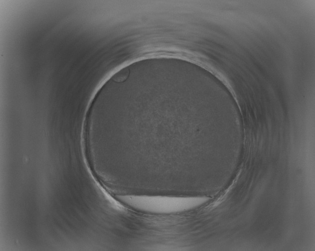 X0000073861533200608241055