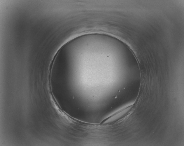 X0000073861534200608241055