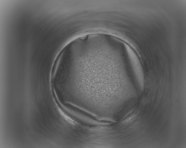 X0000073861535200608241055