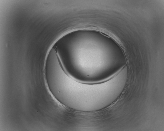 X0000073861536200608241055