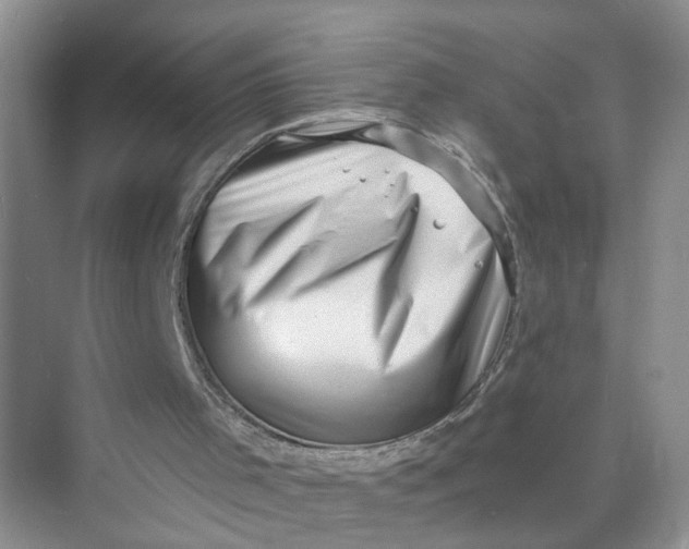 X0000073860001200608312039