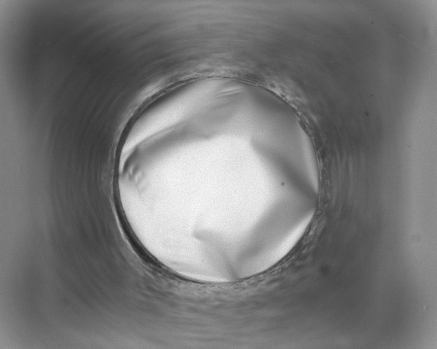 X0000073860003200608312039