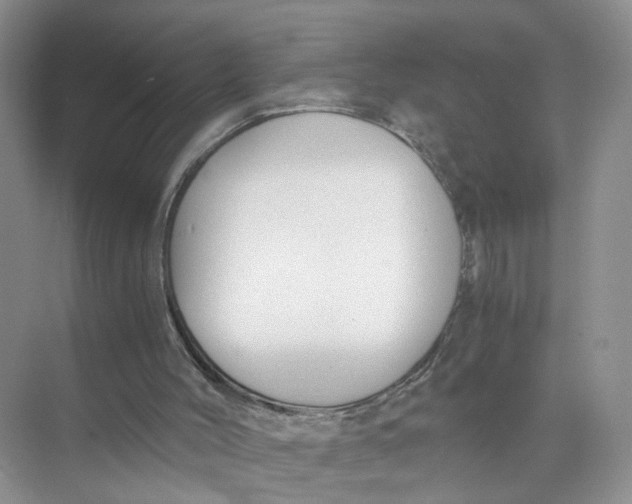 X0000073860004200608312039