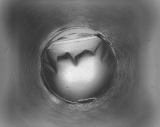 X0000073860005200608312039