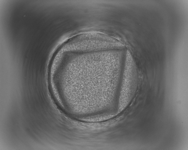 X0000073860006200608312038