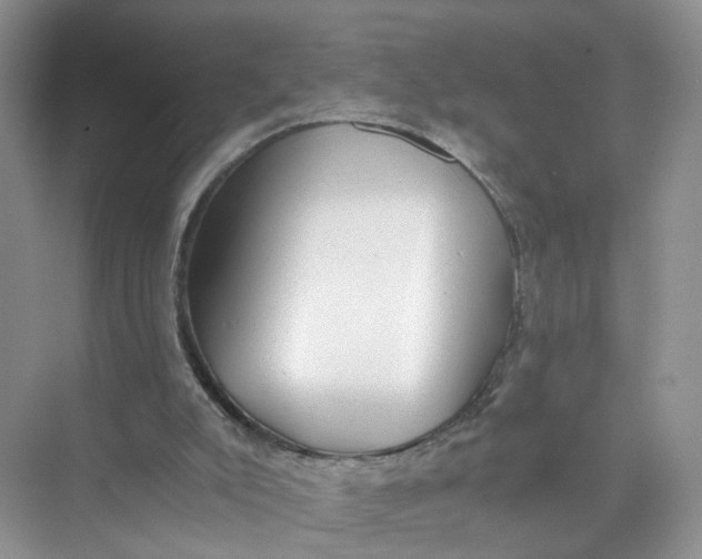 X0000073860007200608312038