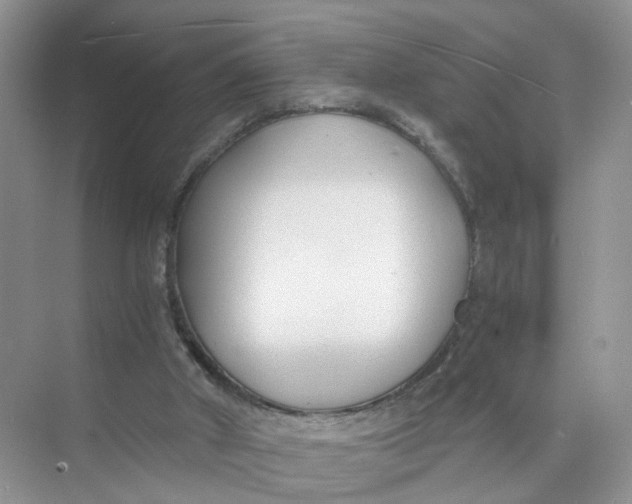 X0000073860010200608312038