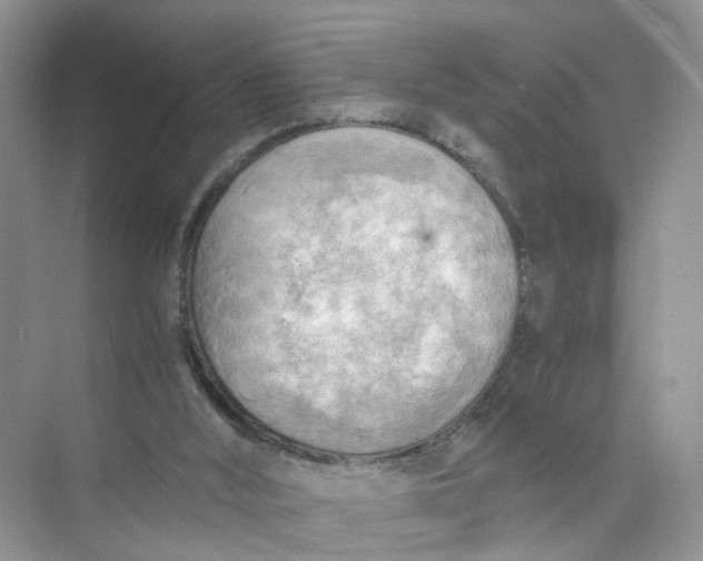 X0000073860012200608312038