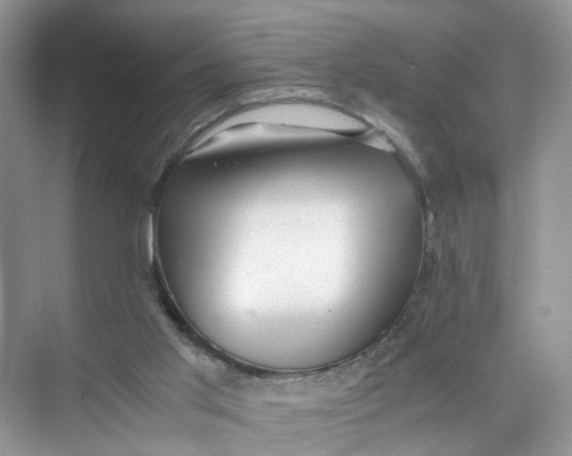 X0000073860013200608312038