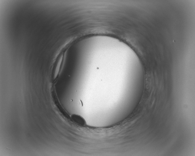 X0000073860015200608312038