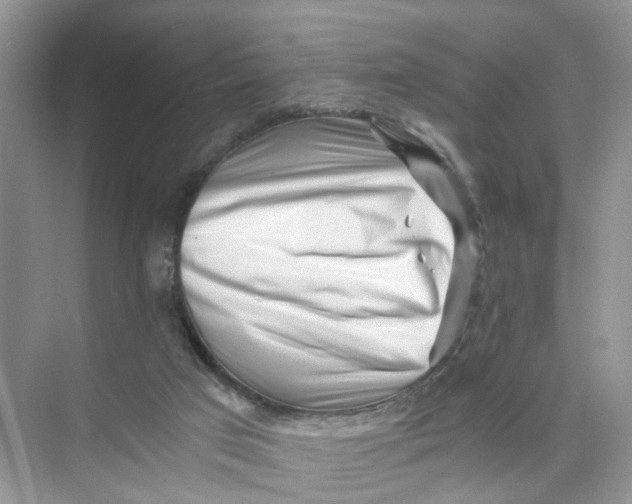 X0000073860017200608312038