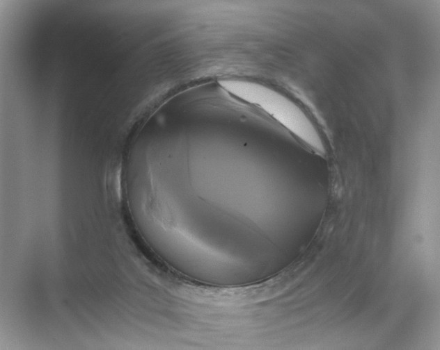 X0000073860019200608312038