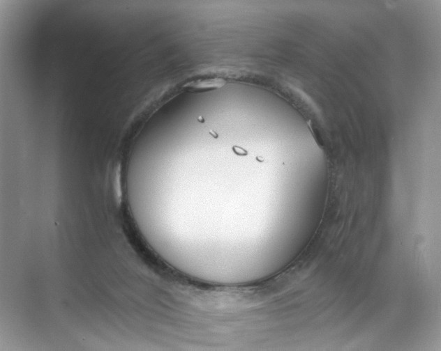 X0000073860020200608312038