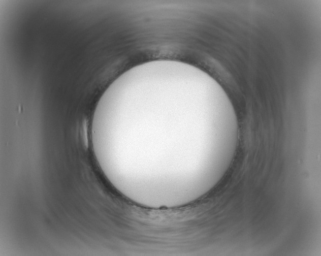 X0000073860022200608312038