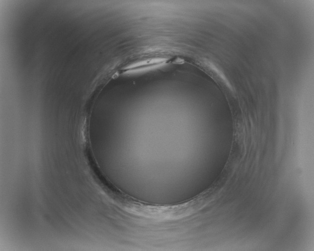 X0000073860023200608312038