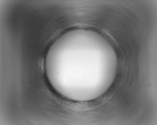 X0000073860024200608312038