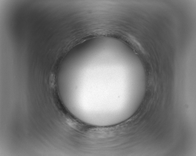 X0000073860025200608312038