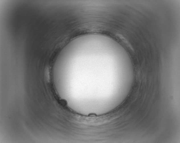 X0000073860026200608312038