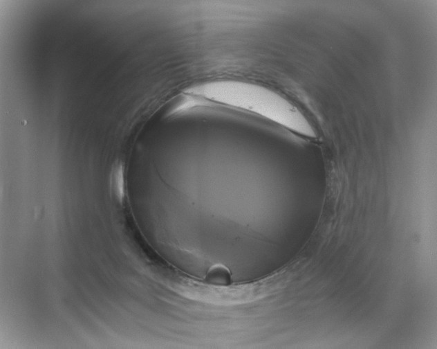 X0000073860027200608312038