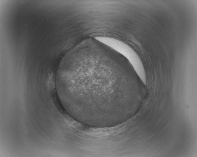 X0000073860029200608312038