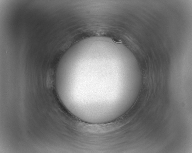 X0000073860030200608312038