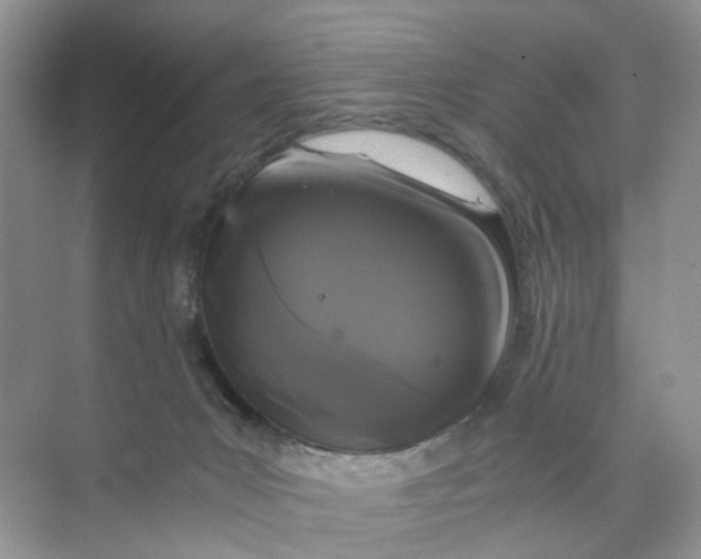 X0000073860031200608312038