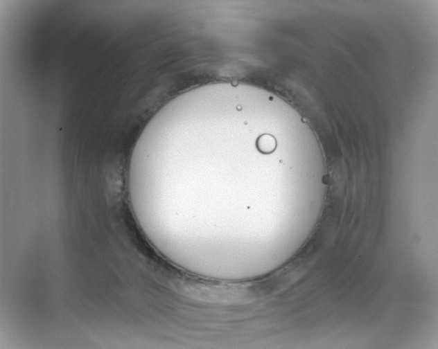 X0000073860032200608312038