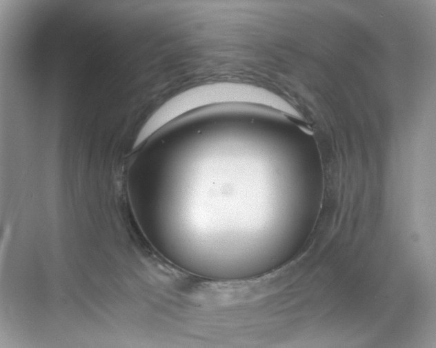 X0000073860033200608312038