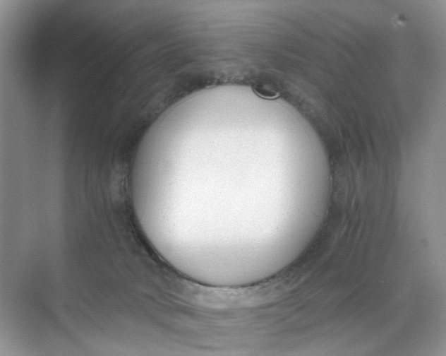 X0000073860034200608312038