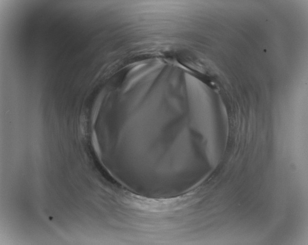 X0000073860035200608312038