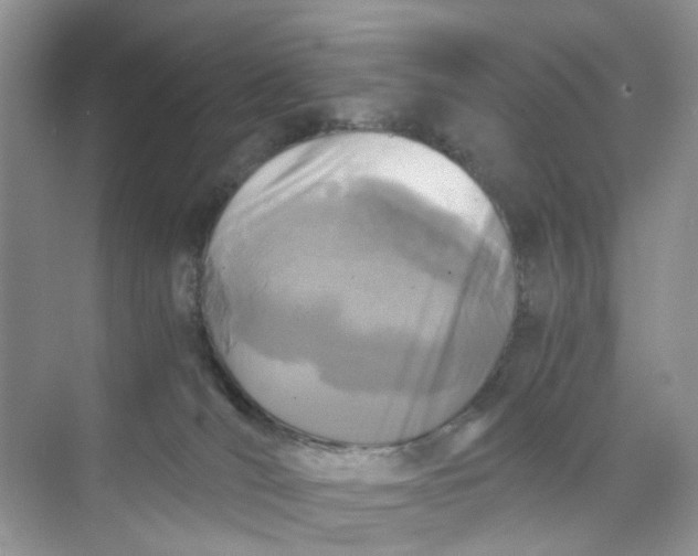 X0000073860036200608312038