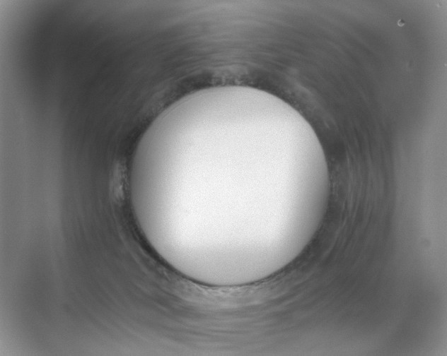 X0000073860038200608312038