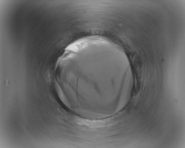 X0000073860039200608312038