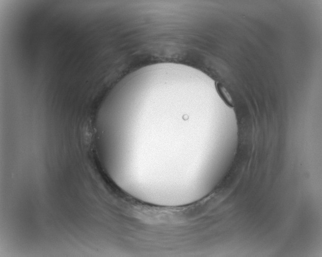 X0000073860040200608312038