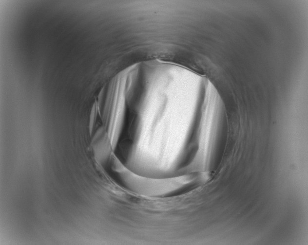 X0000073860041200608312038