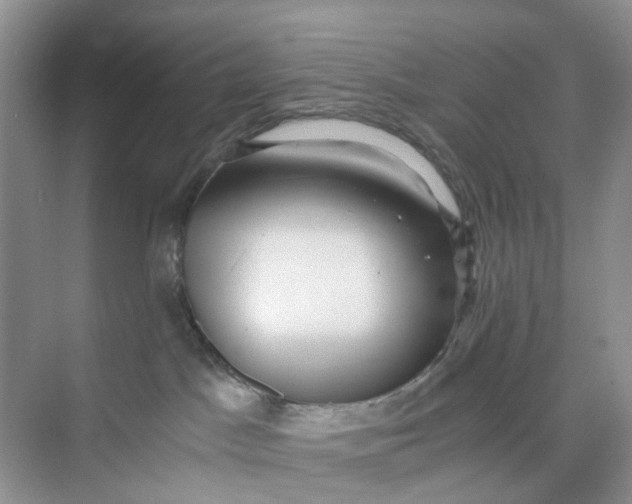 X0000073860045200608312038