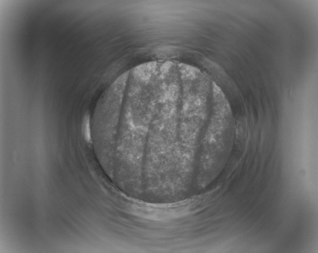 X0000073860046200608312038