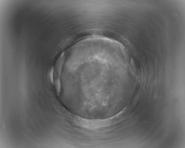 X0000073860047200608312038