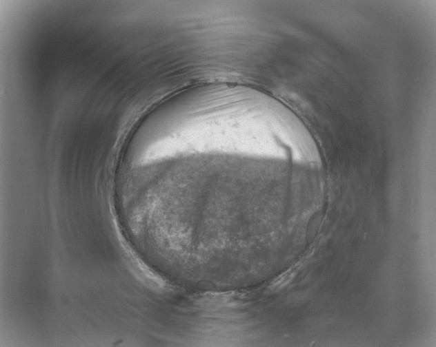 X0000073860049200608312037