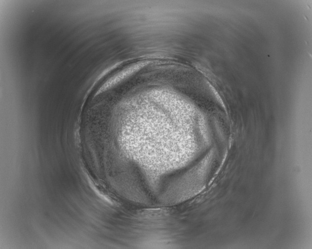 X0000073860050200608312037