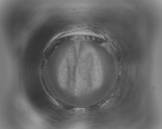 X0000073860052200608312037