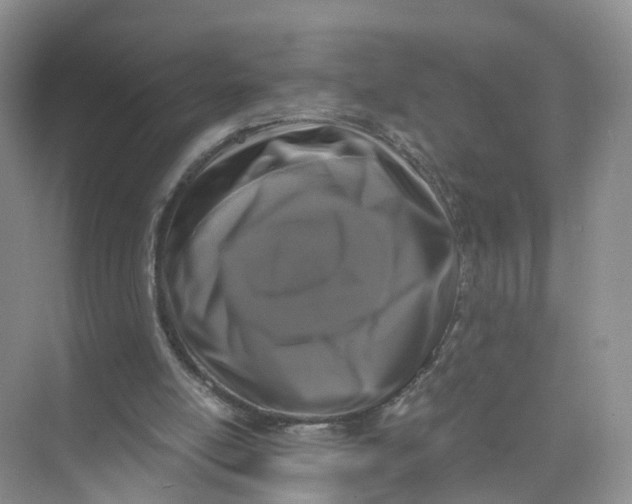 X0000073860054200608312037