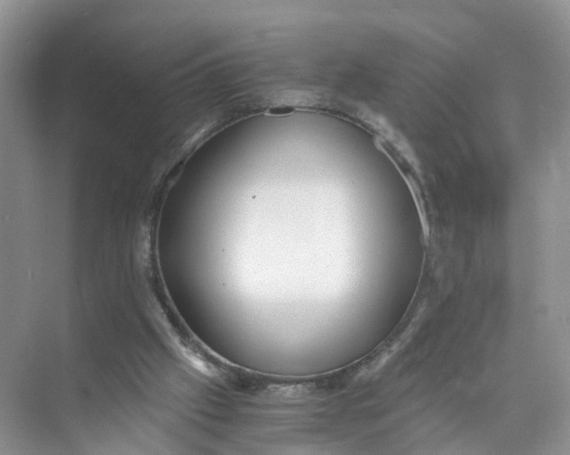 X0000073860057200608312037