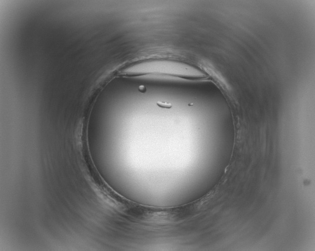 X0000073860058200608312037