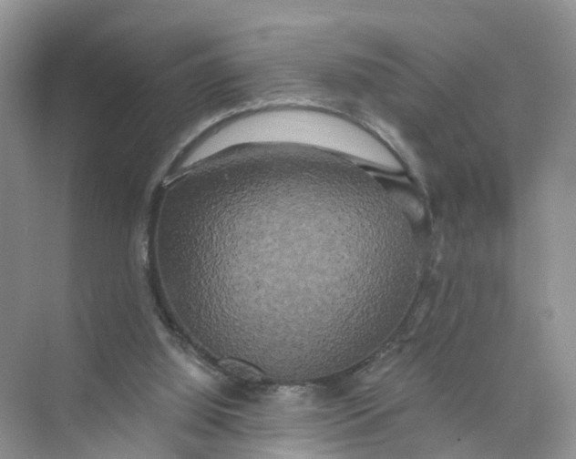 X0000073860060200608312037