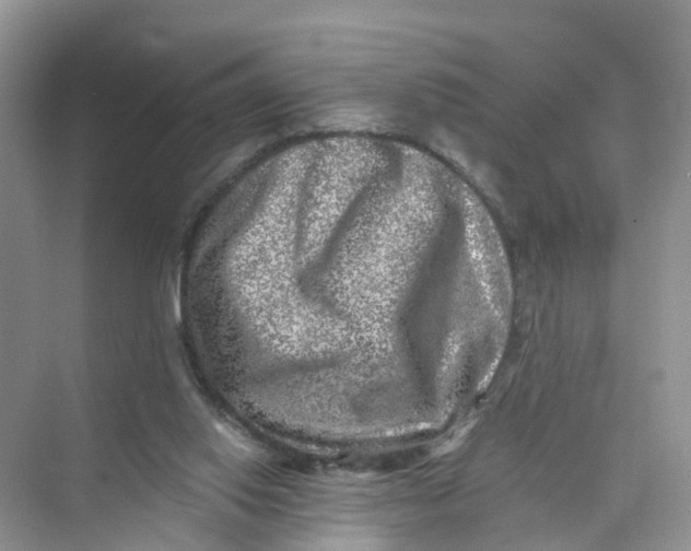 X0000073860062200608312037