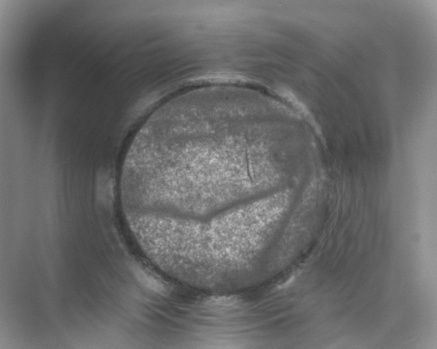 X0000073860063200608312037