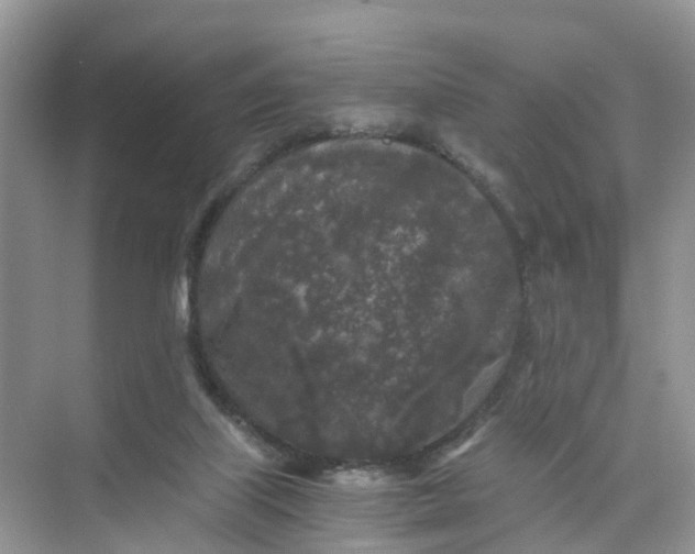 X0000073860067200608312037