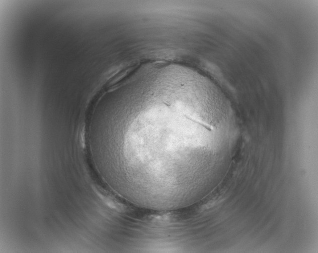 X0000073860068200608312037