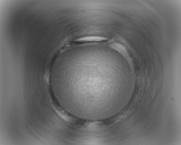 X0000073860072200608312037